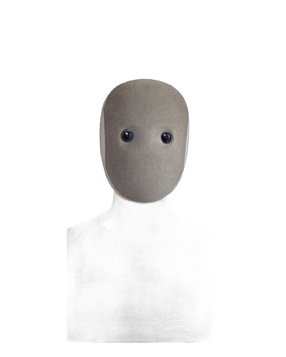 1X NEO robot foto